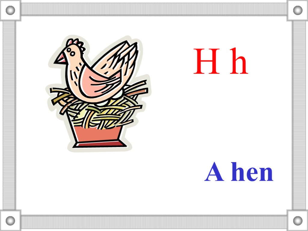 A hen H h